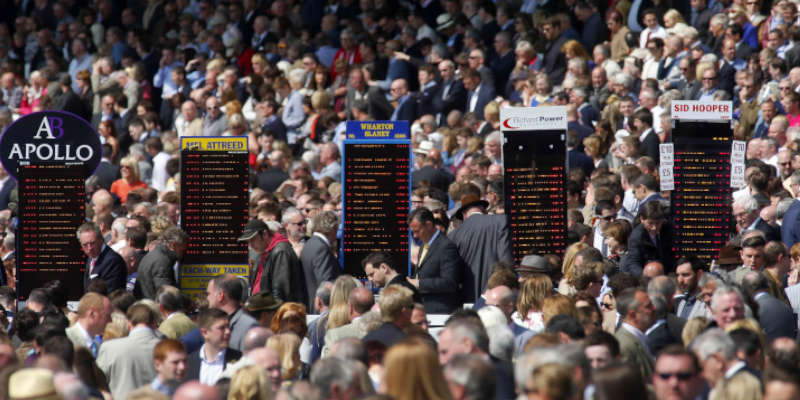 Horseracing bettors and audience.